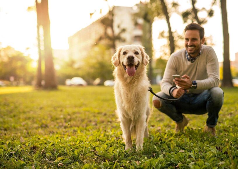 Dog-Friendly Perks Worth Packing For