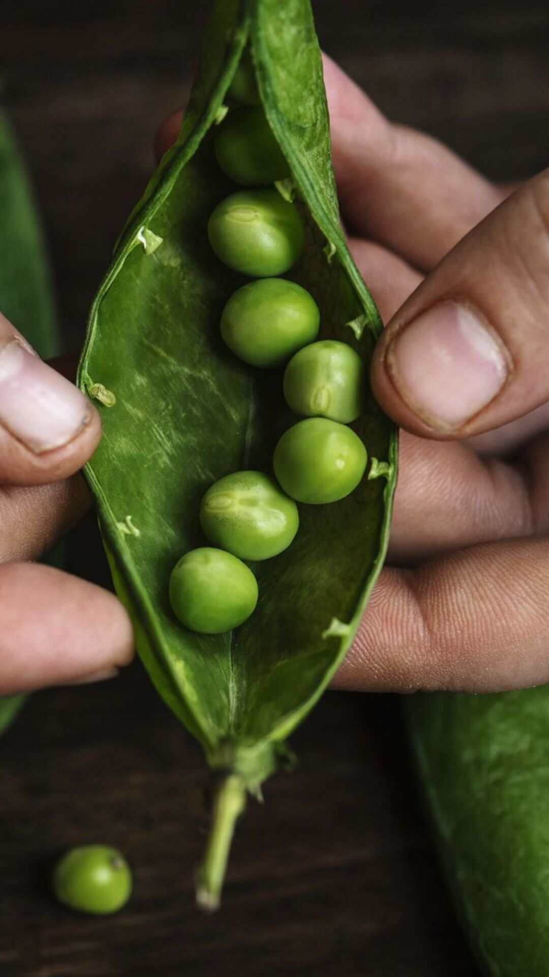 The Culinary Cradle of California