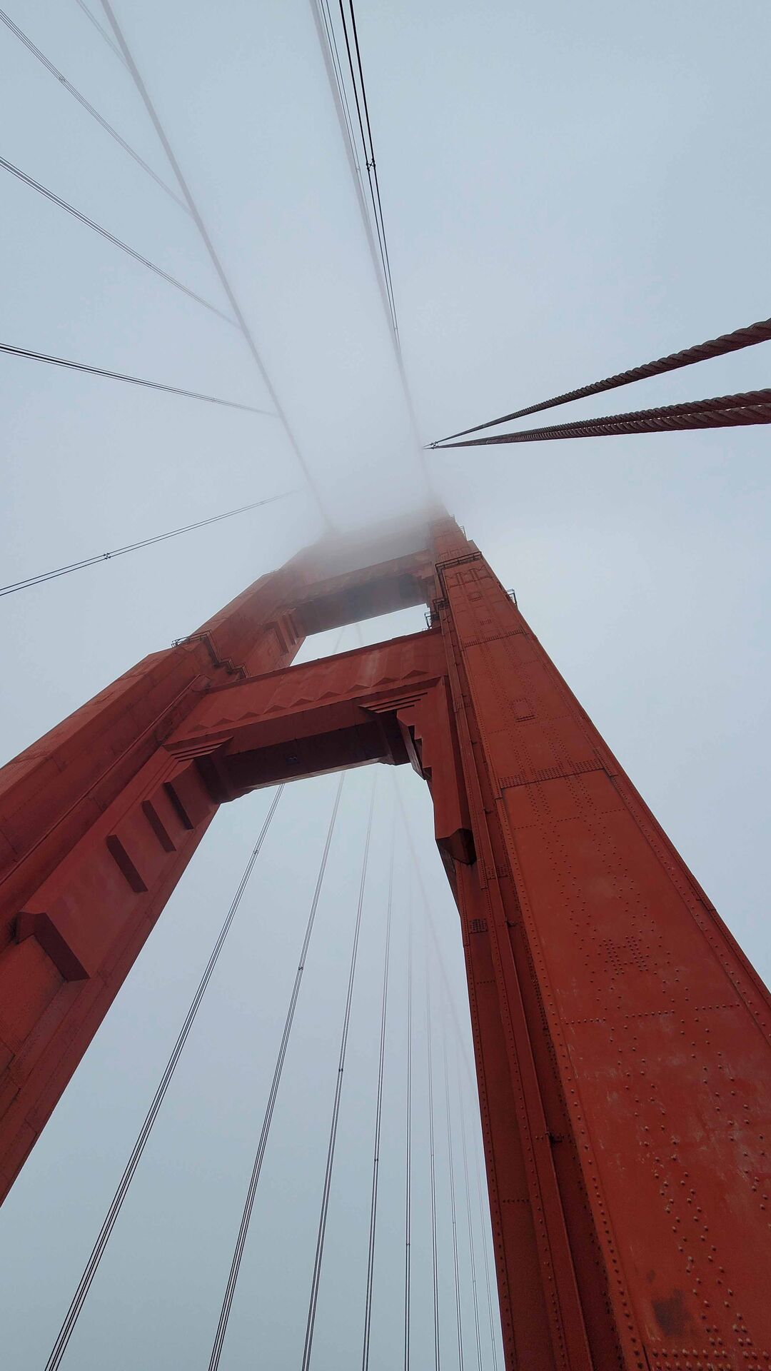 Photography Safari with Alexis Greenberg