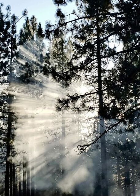 Photography Safari with Alexis Greenberg