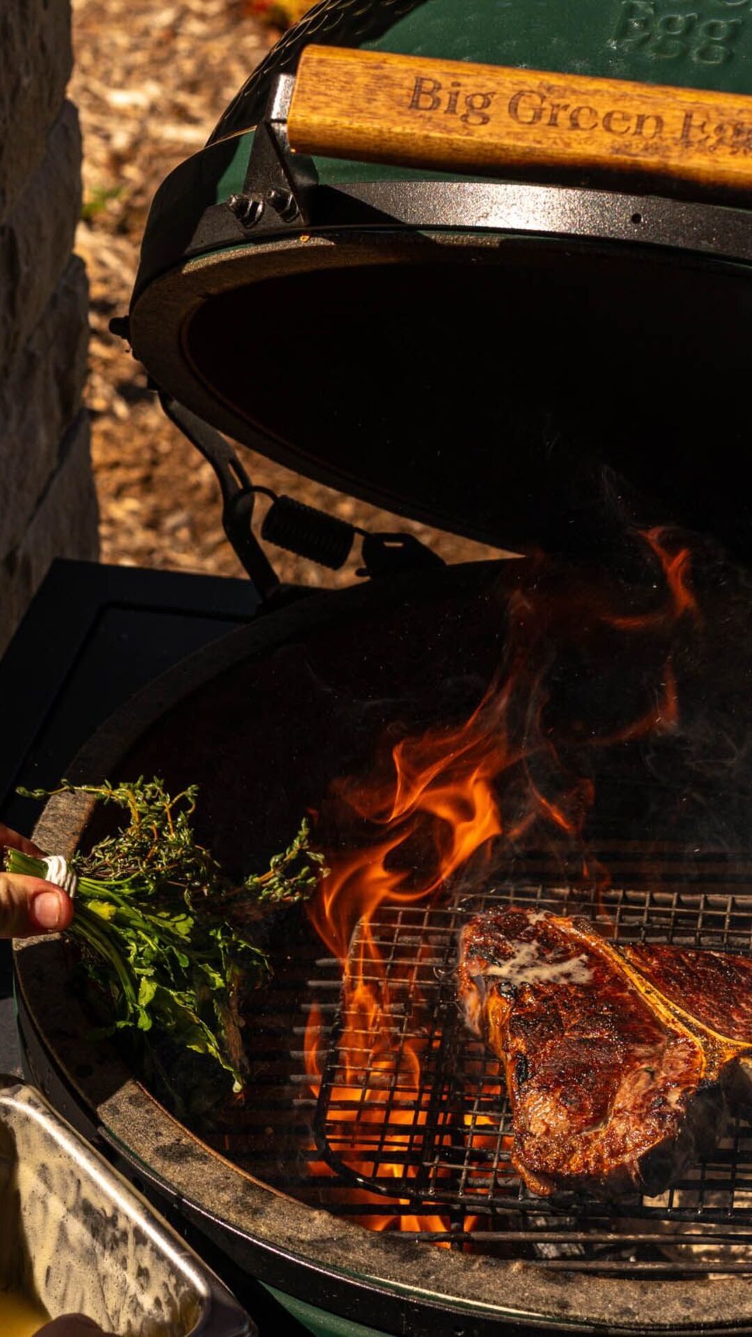 Big Green Egg in Healdsburg 