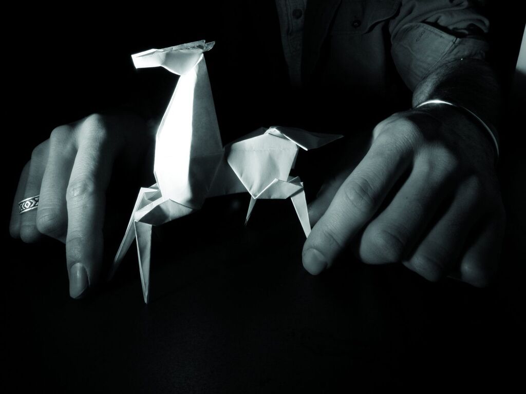 Origami-Folding 