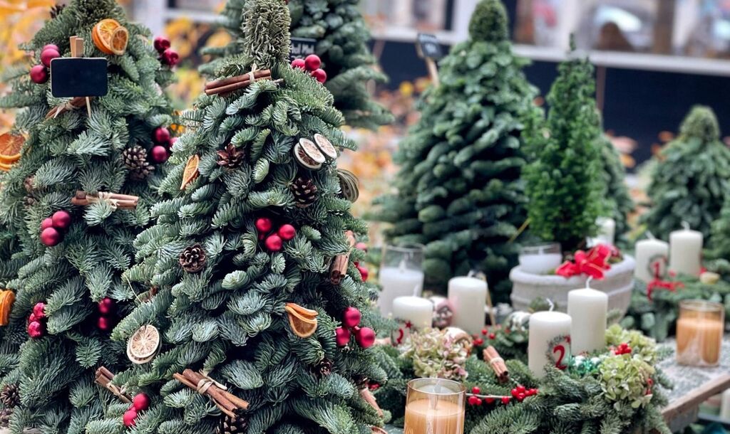 Tabletop evergreen trees trimmed with dried oranges, cinnamon and pinecones beside pillar candles