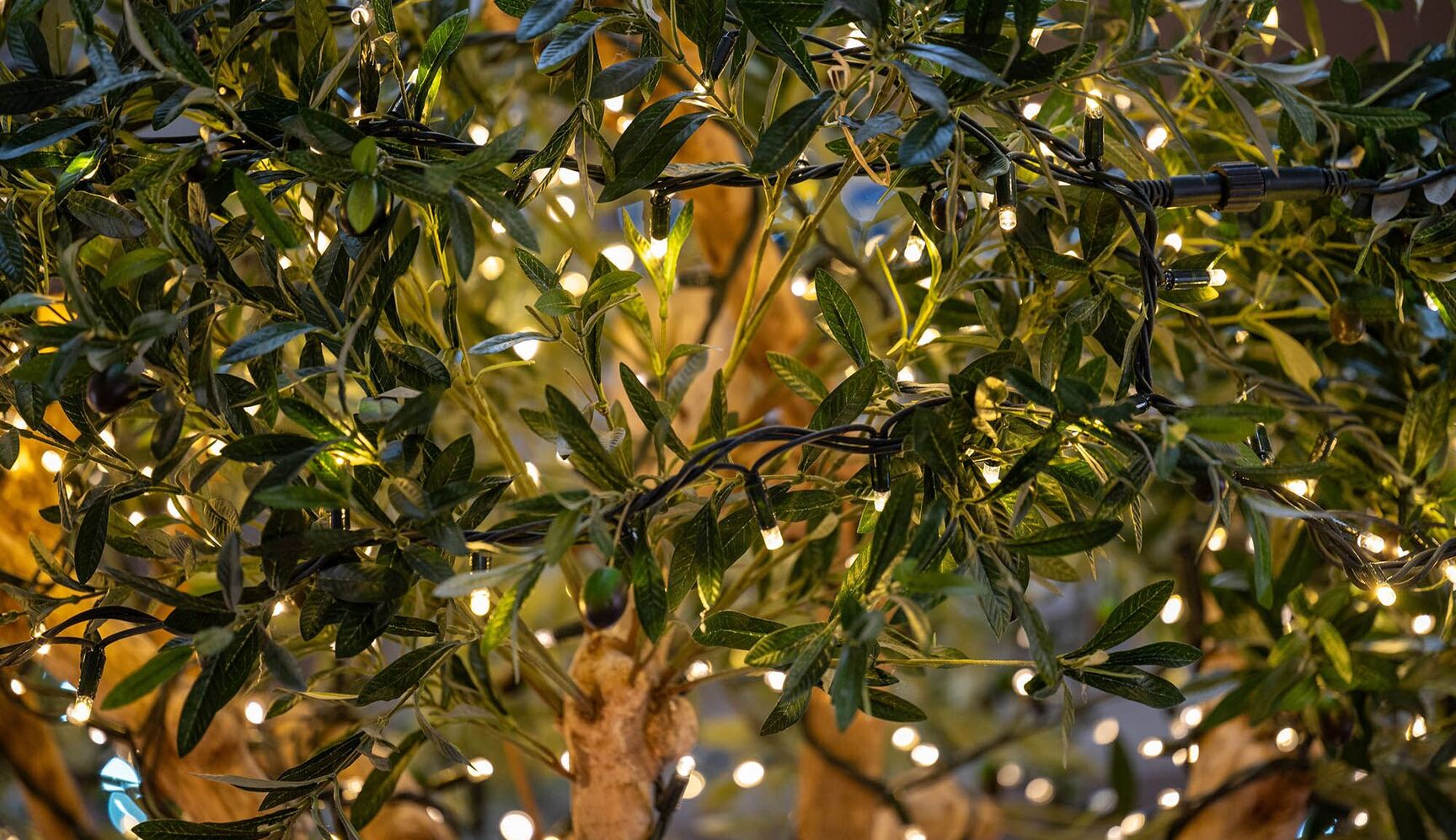 holidays in healdsburg ca
