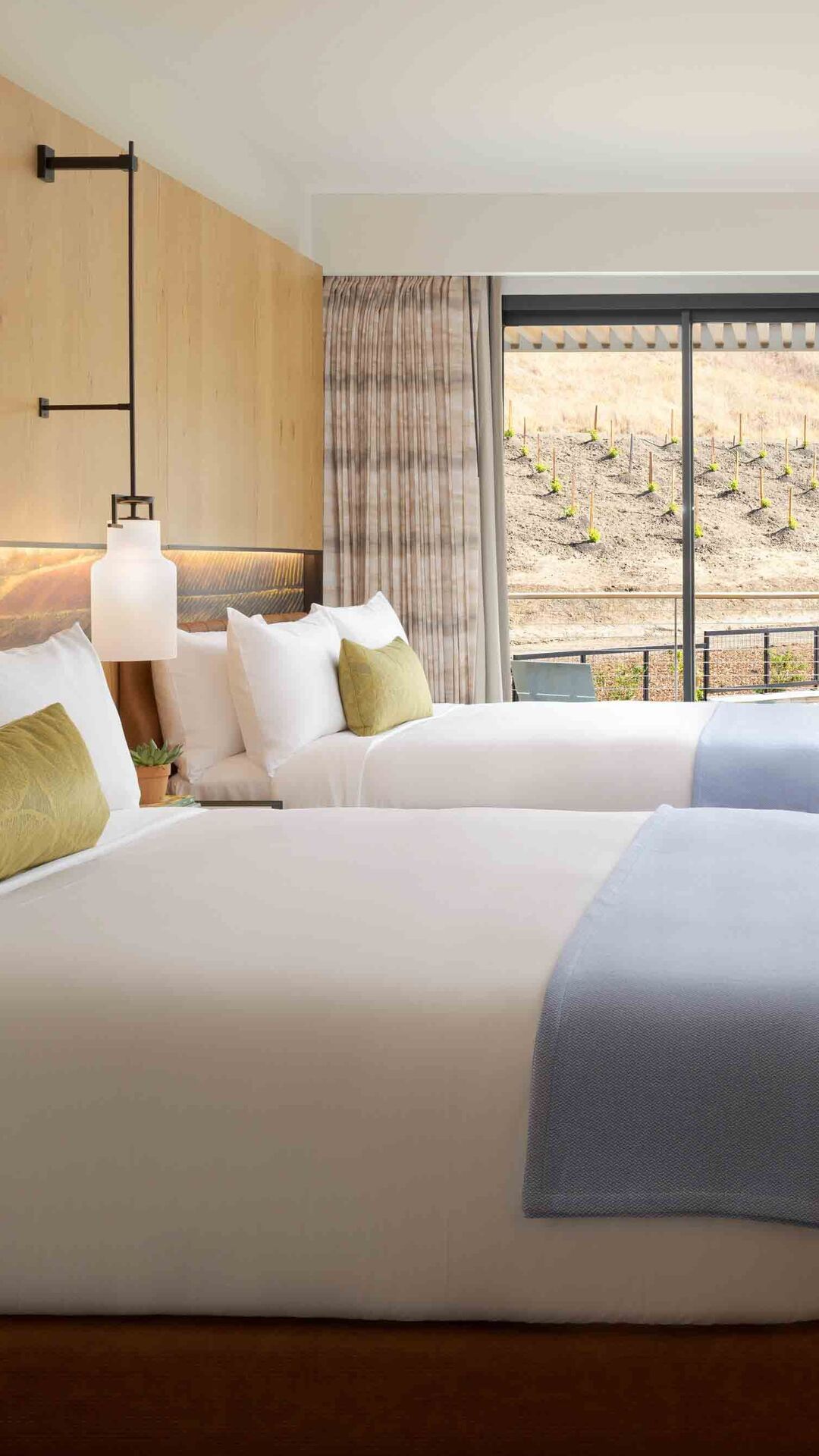 Deluxe Queen - Queen