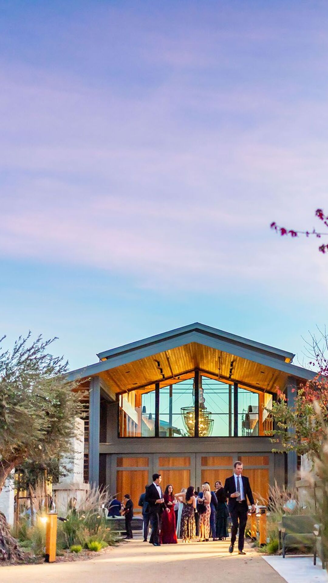 Celebrate Amidst The Vines