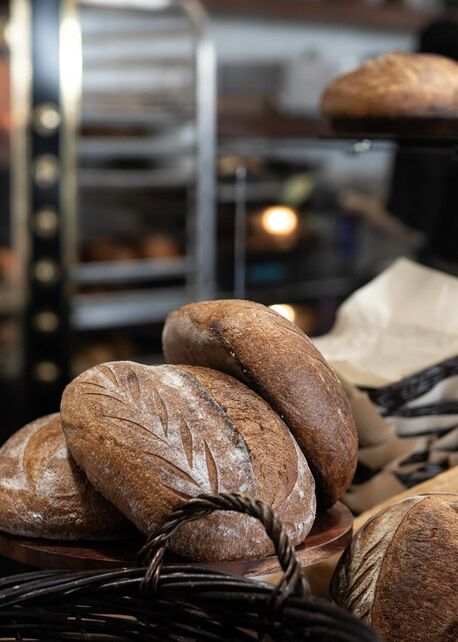 Sourdough Bread Making