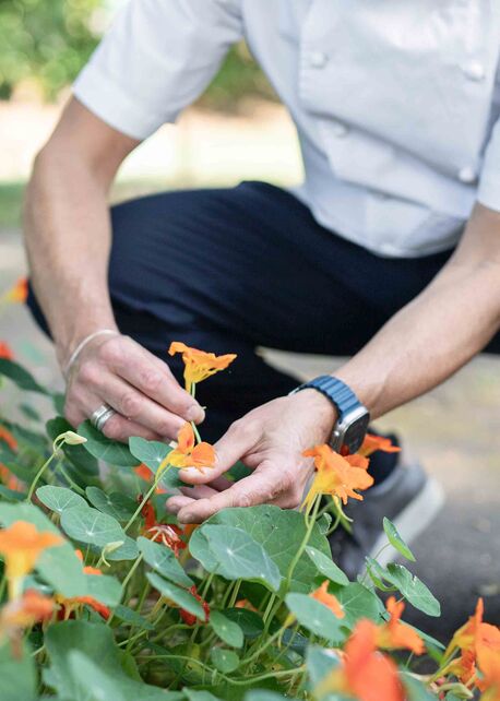 American Fare - Made in Lodi