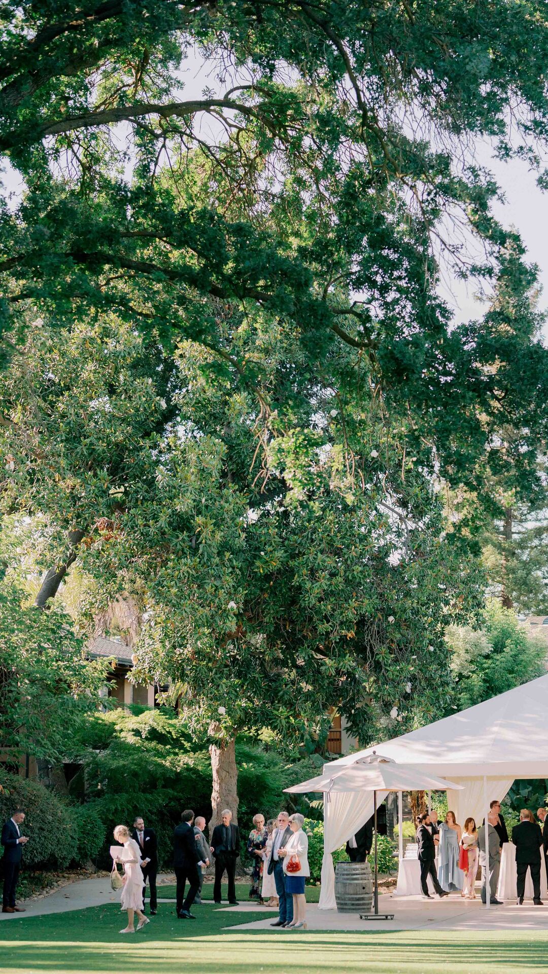 Discover Ever After in Lodi