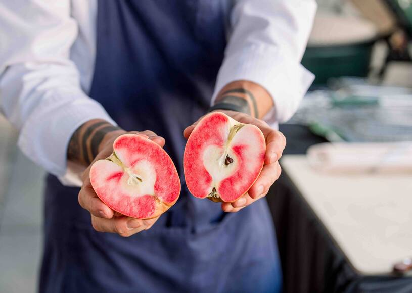 The MOHI by Appellation introduces new identity and culinary concepts